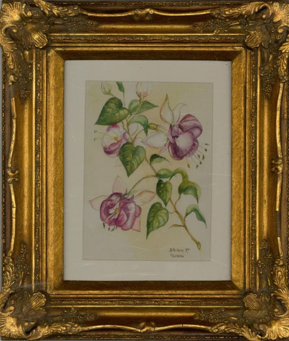 W. Jackson - 1987 Watercolour, Fuchsia Blossom