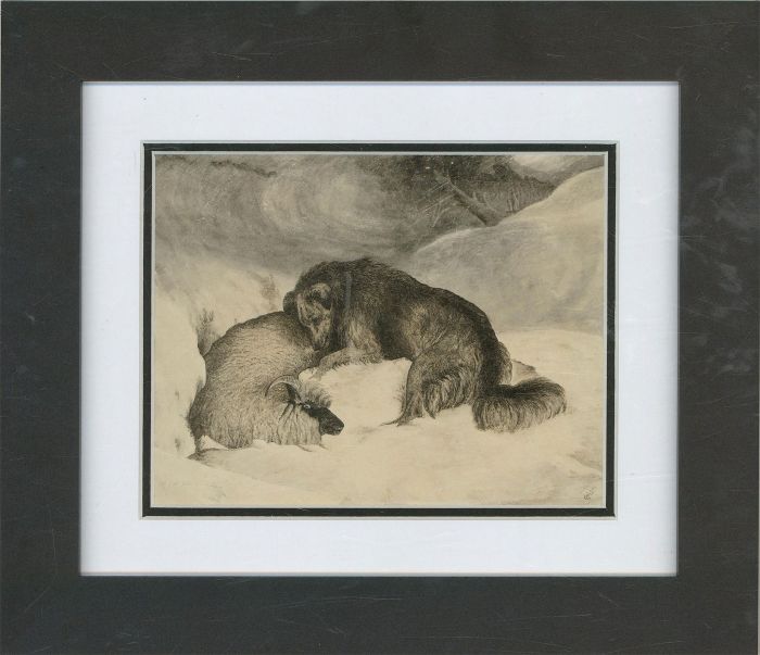 1885 Pen and Ink Drawing - Heroic Dog Saves Sheep In A Blizzard