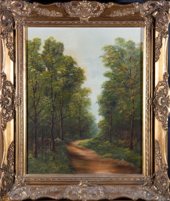 Contemporary Oil - Dappled Pathway