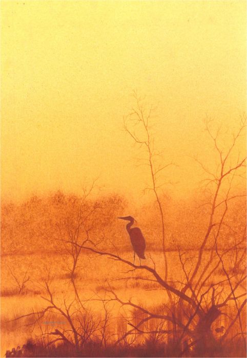 Mathew Hillier - Signed 1981 Watercolour, Heron at Dusk