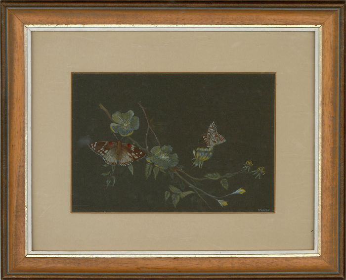 D. Slater - 20th Century Gouache, Butterfly
