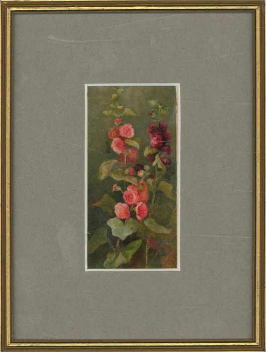 Framed Late 19th Century Watercolour - Hollyhocks