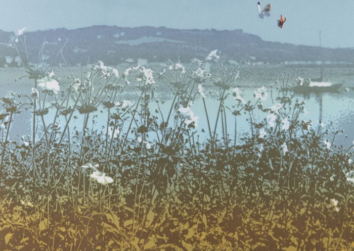Mary Beresford-Williams (b1931) - Silkscreen, Cow Parsley And Butterflies