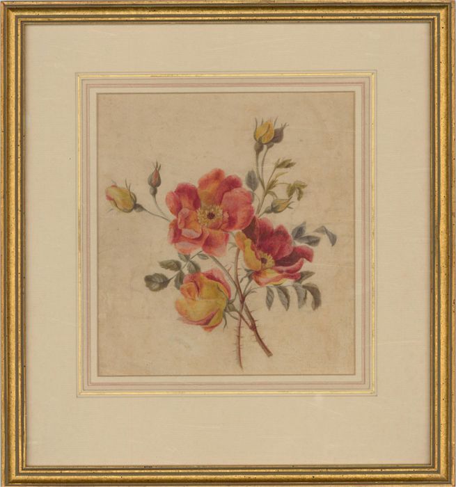 Late 19th Century Watercolour - Summer Flowers