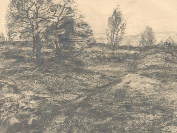 20th Century Graphite Drawing - Landscape Study