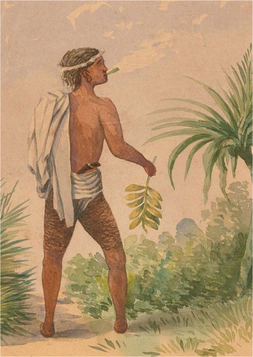Early 20th Century Watercolour - Island Native
