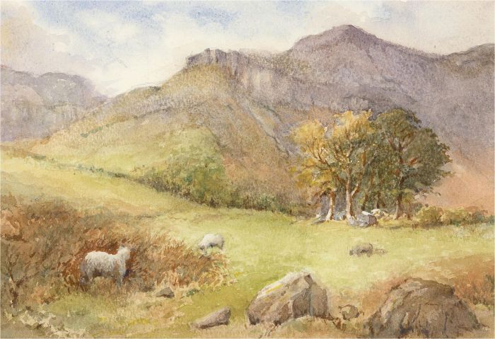 R. Hughes of Chester - 20th Century Watercolour, Sheep Grazing in the Mountains