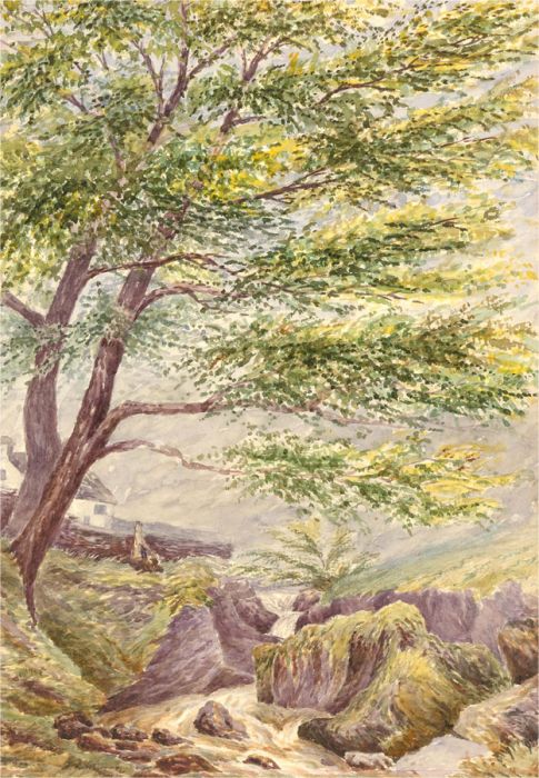 Fraser Selby - Early 20th Century Watercolour, Riverside Tree