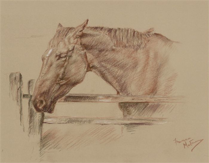 Franco Matania (1922-2006)-Signed 20th Century Chalk Drawing, Horse at the Gate