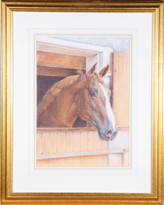 Franco Matania (1922-2006) - 20th Century Pastel, Brown Horse