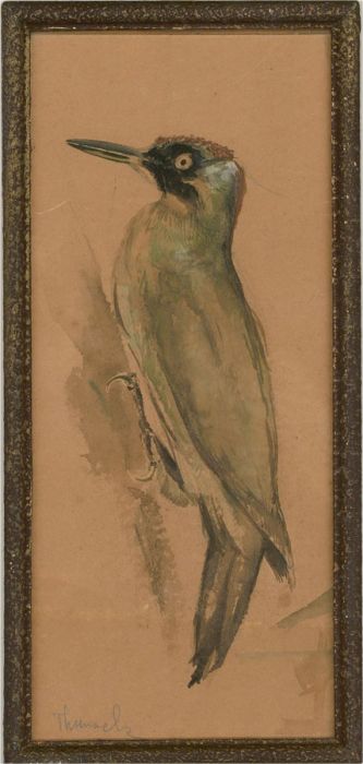 Thunack - 20th Century Watercolour, Woodpecker