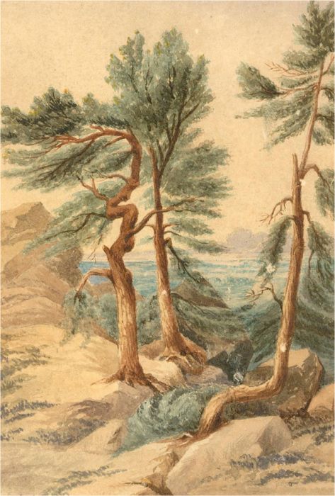 Late 19th Century Watercolour - Three Trees