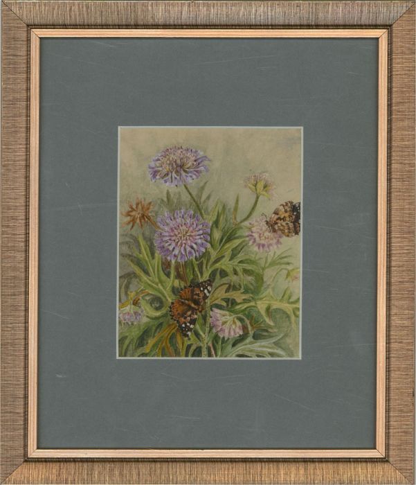 1882 Watercolour - Flowers and Butterflies