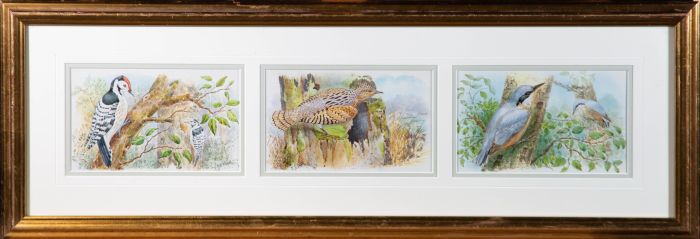 F J S Chatterton - Mid 20th Century Watercolour, Ornithological Triptych