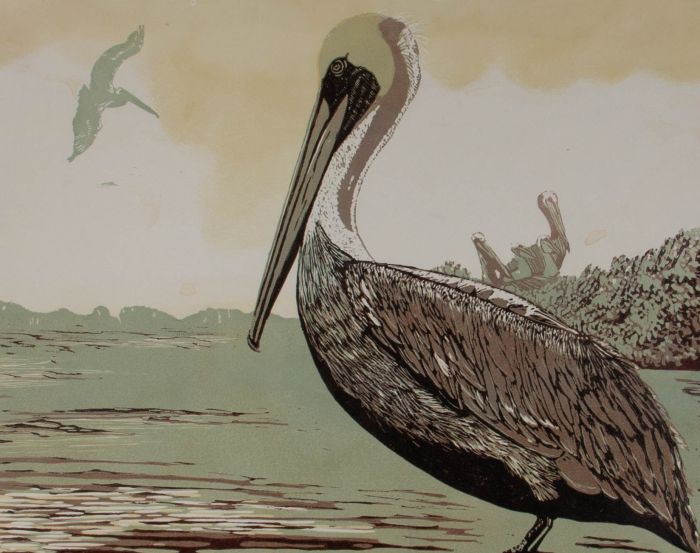 1986 Silkscreen - Brown Pelican
