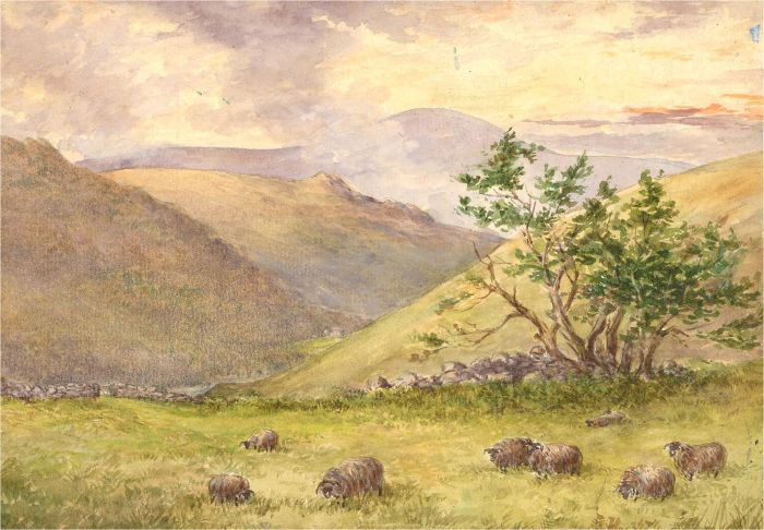 Mid 20th Century Watercolour - Sheep on a Hill