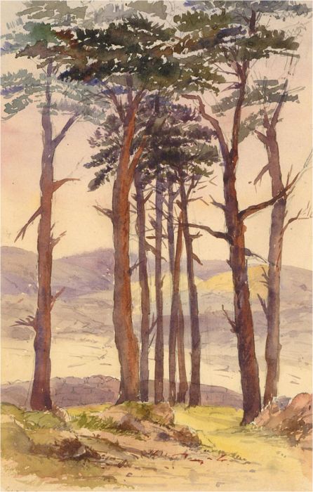 Early 20th Century Watercolour - Hilltop Trees