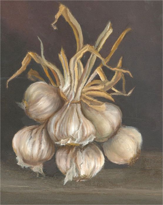 Contemporary Oil - Garlic Study