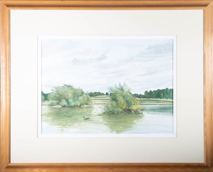Terence Dalley - 1998 Watercolour, Pen Ponds, Richmond Park