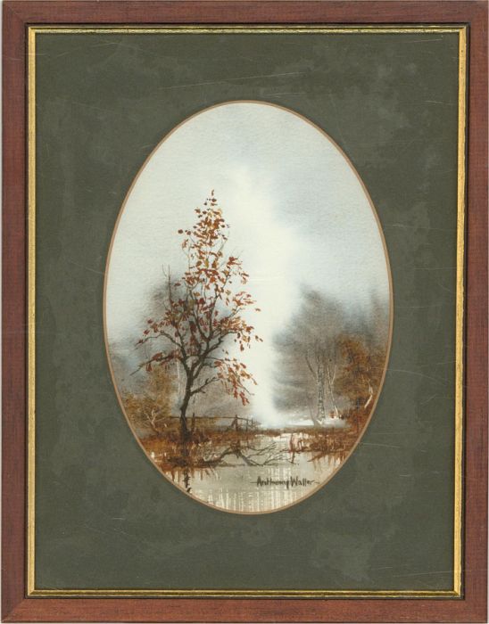 Anthony Waller - Signed & Framed Mid 20th Century Watercolour, Beech Sapling