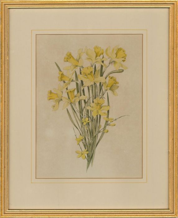 20th Century Watercolour - Delicate Yellow Flowers