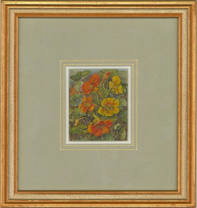 Martine Simon Collings SBA - Contemporary Watercolour, Miniature Nasturtiums