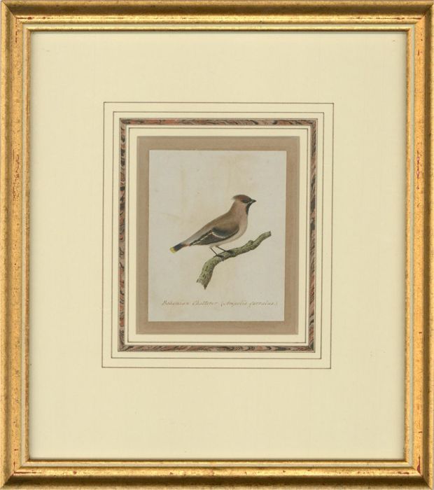 Attrib. Sir William Charles Ross RA - Mid 19thC Watercolour, Bohemian Chatterer