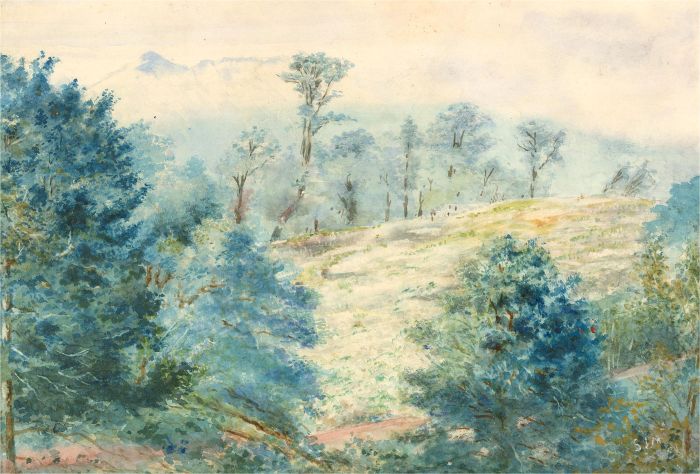 S.J.M - Signed Early 20th Century Watercolour, View of the Woods
