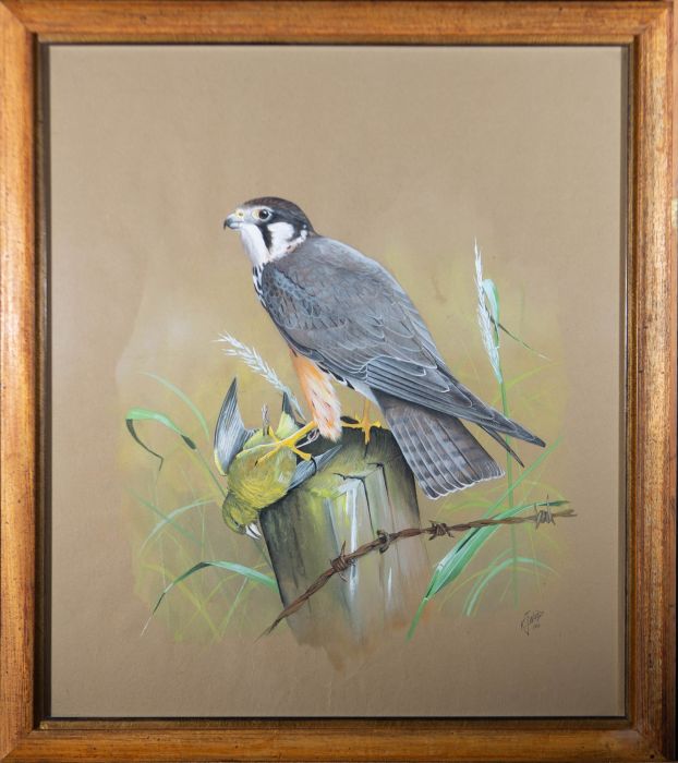 Kenneth J. Wood (1936-1992) - 1966 Gouache, Merlin Falcon