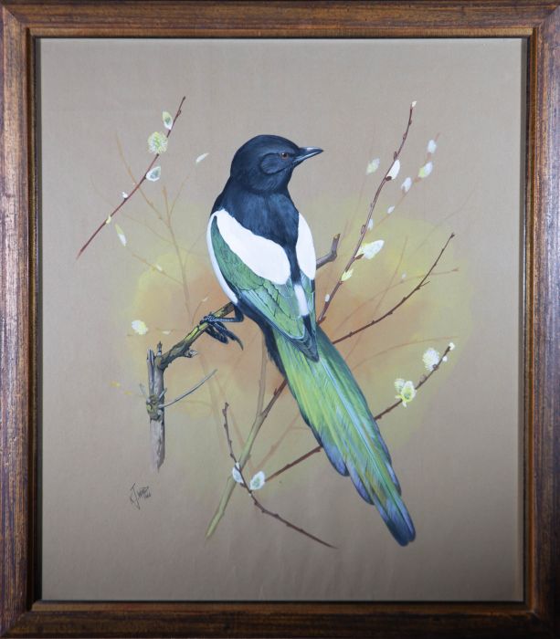 Kenneth J. Wood (1936-1992) - 1966 Gouache, Magpie