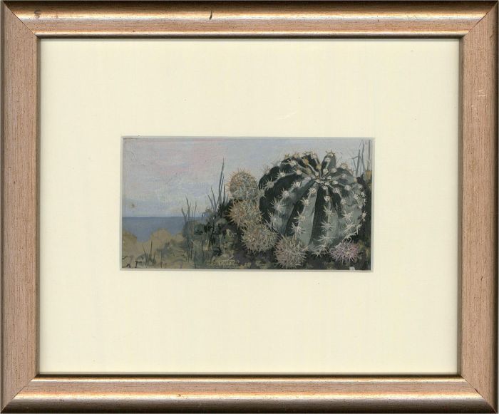 Margaret O. Hole (1919-2012) - 20th Century Gouache, Cacti