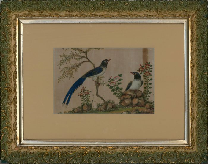 Early 19th Century Watercolour - Chinese Blue Magpies