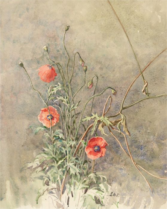 J. Murray Thomson R.S.A R.S.W - Early 20th Century Watercolour, Poppies on Green
