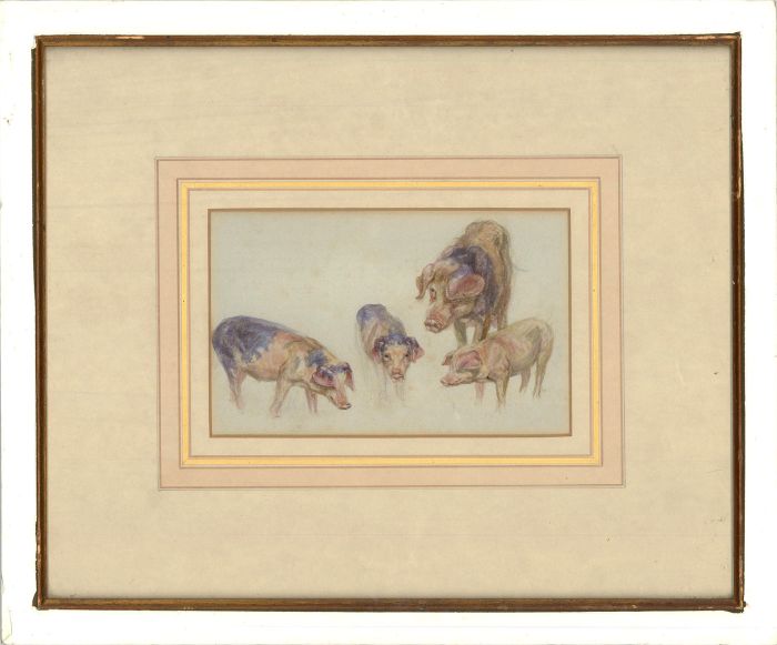 20th Century Watercolour - Four Pigs