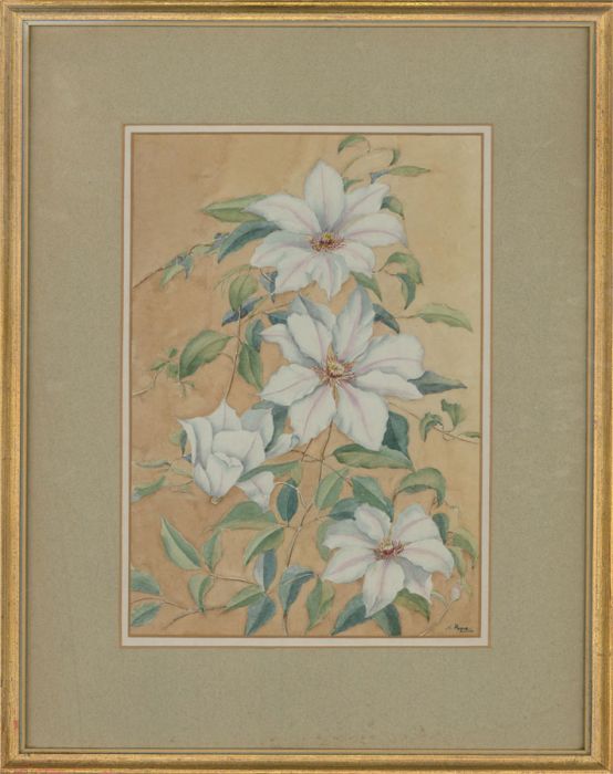 H. Payne - Mid 20th Century Watercolour, White Flowers