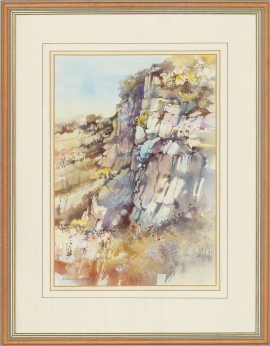 Arthur Watson - 20th Century Watercolour, Flowers In The Rock Face