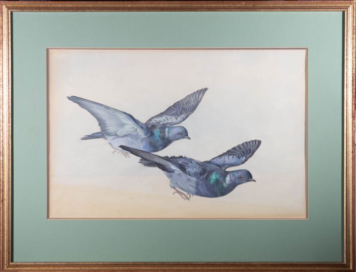Alice Lizzie West - Mid 20th Century Gouache, Two Pigeons