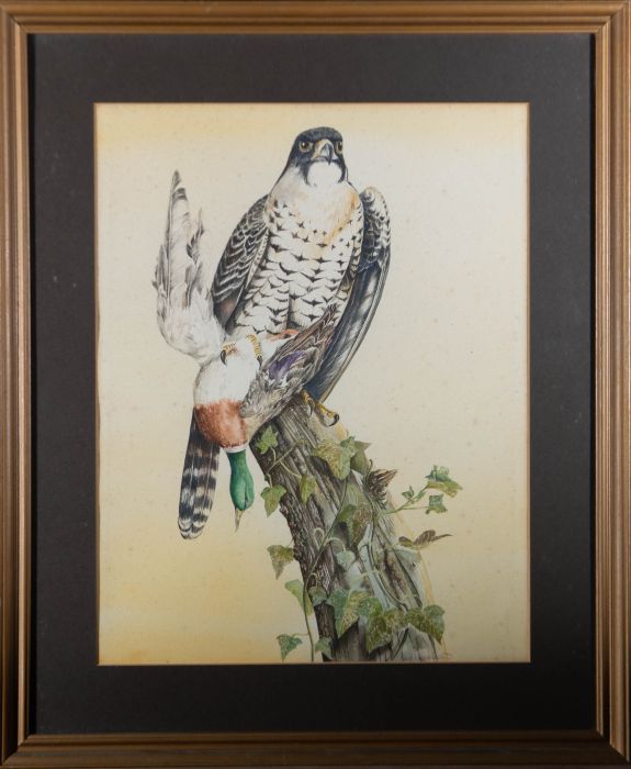 S. Goodchild - 1984 Watercolour, Peregrine & Mallard