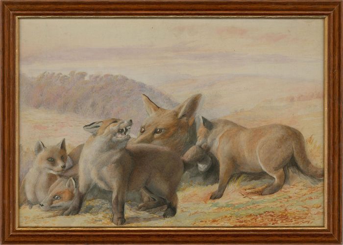 20th Century Watercolour - Fox with Cubs