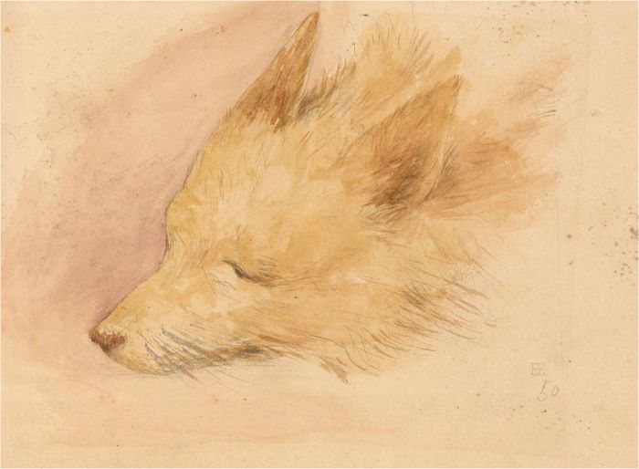 E.W. Butler - 1950 Watercolour, Head of a Sleeping Dog