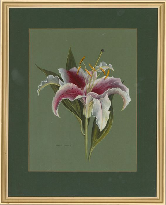 Frances Durose - 1991 Gouache, Lily
