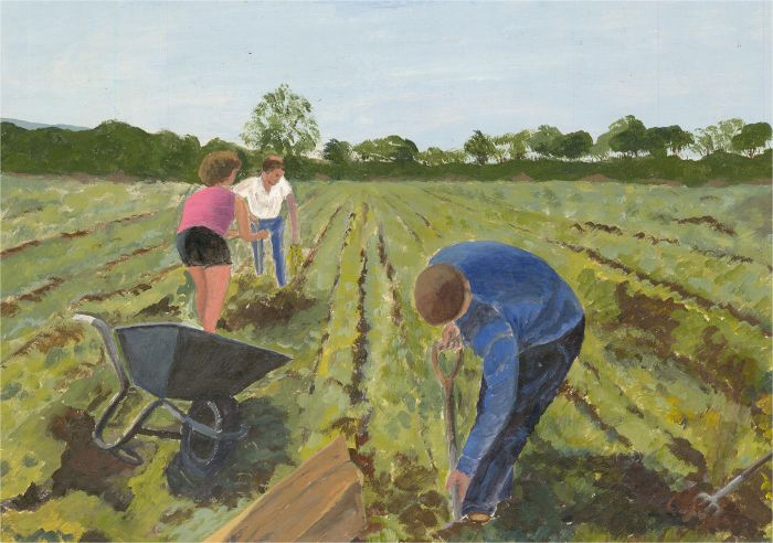 Sylvia Grottick - 20th Century Oil, Working the Field