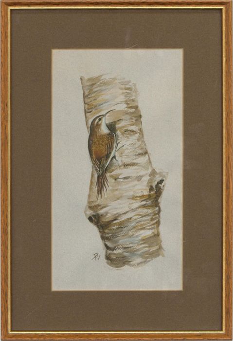 R.L. - Contemporary Watercolour, Treecreeper