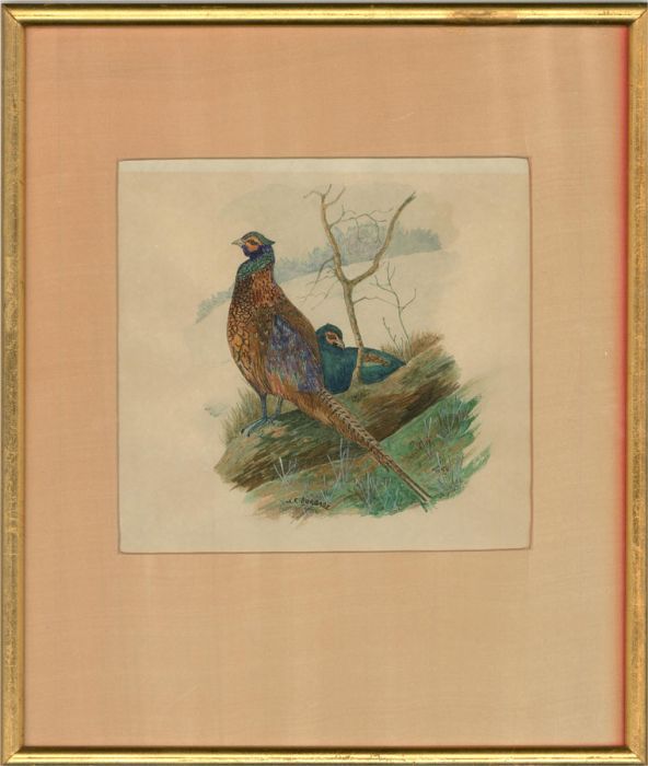 M.E. Burbage - Early 20th Century Watercolour, Two Pheasants