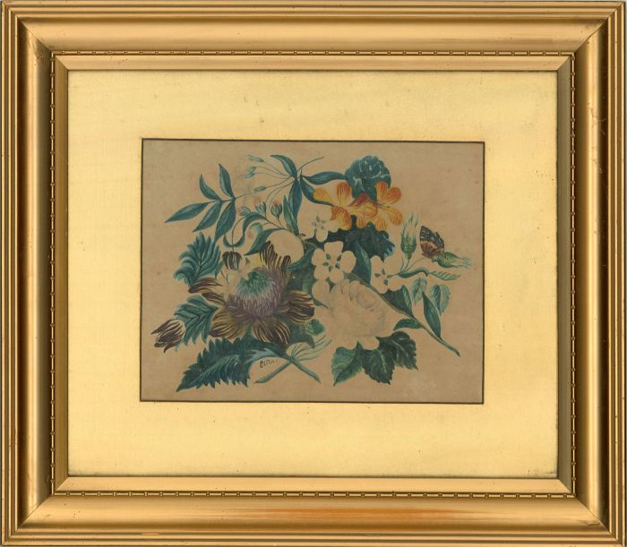 Eliza - Early 20th Century Watercolour, Flower Studies