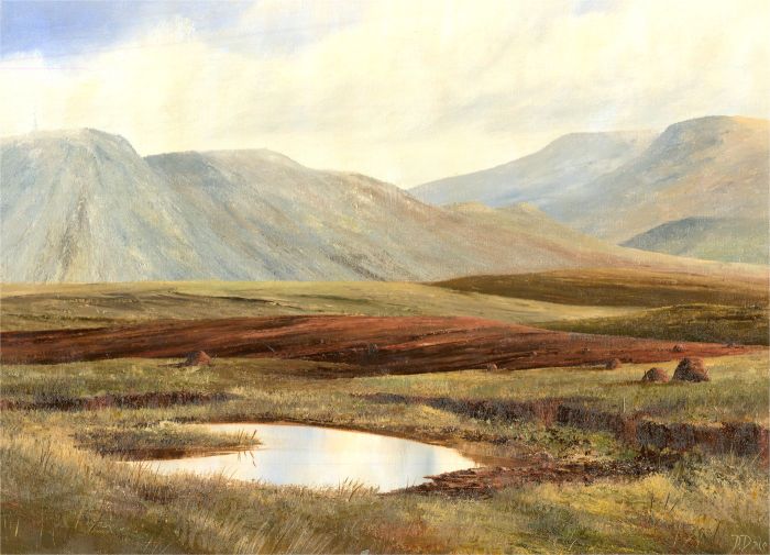 D. Dale - 20th Century Acrylic, Connemara