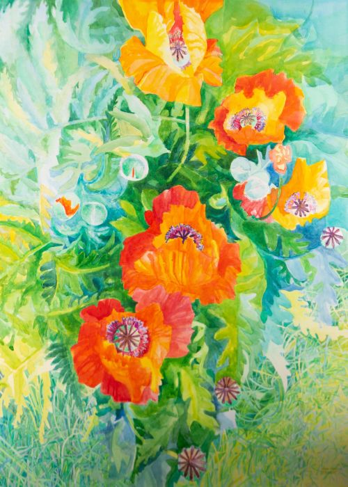 John Ivor Stewart PPPS (1936-2018) - Contemporary Watercolour, Budding Poppies