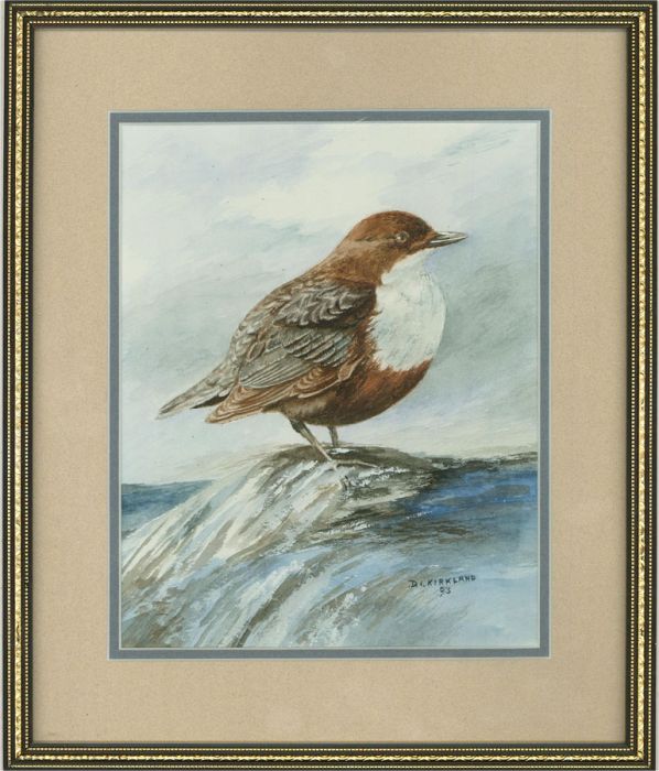 Dorothy I. Kirkland - 1993 Watercolour, Dipper