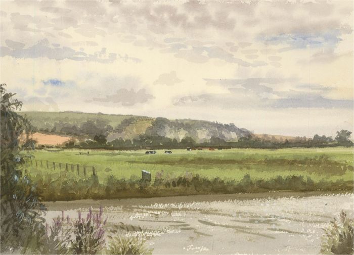 Stewart Charles Hine (1928-2018) - Watercolour, Countryside Scene with Cows