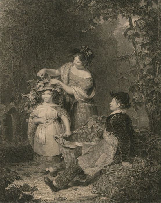 Early 20th Century Engraving - The Crown Of Hops